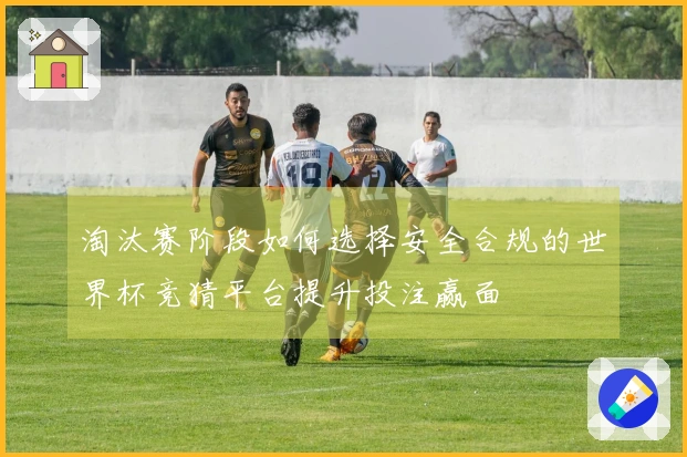 淘汰赛阶段如何选择安全合规的世界杯竞猜平台提升投注赢面