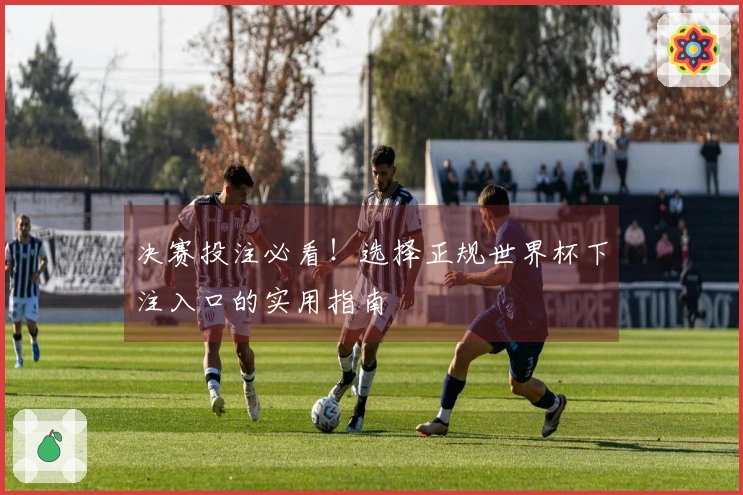 决赛投注必看！选择正规世界杯下注入口的实用指南